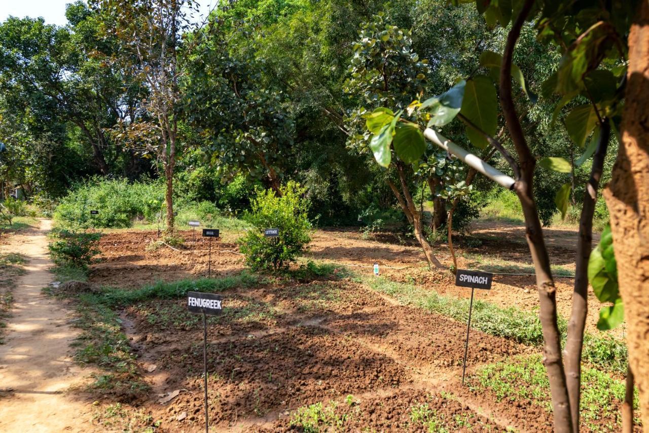 Kanha Jungle Camp Exterior photo